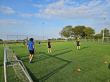 Laatste training seizoen 2023-2024 van 1e selectie S.K.N.W.K. (voetvolleytoernooitje) van donderdag 25 mei 2024 (13/314)